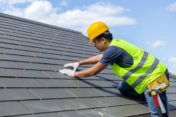 Best Roof Gutter Cleaning  in Forest, MS