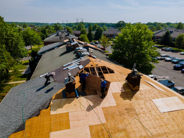 Best Commercial Roofing Services  in Forest, MS