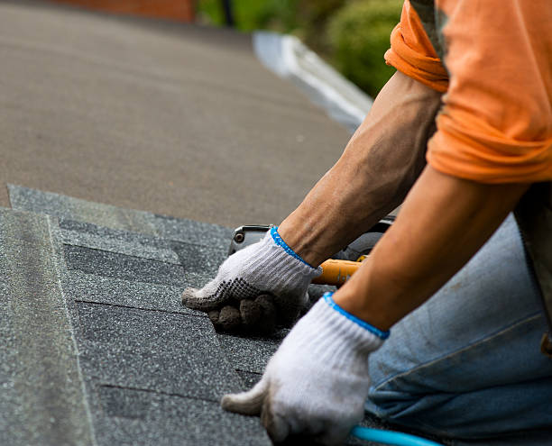 Best Slate Roofing Contractor  in Forest, MS