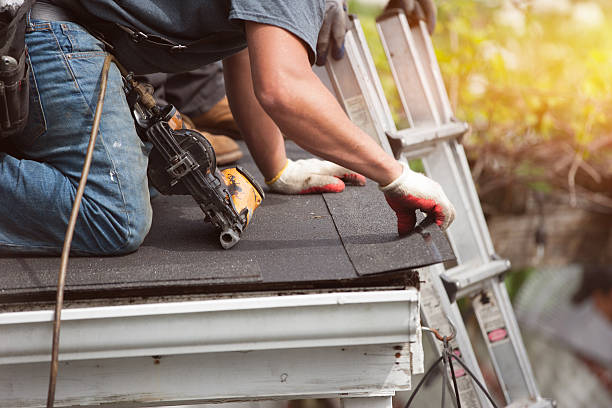 Best Local Roofing Companies  in Forest, MS