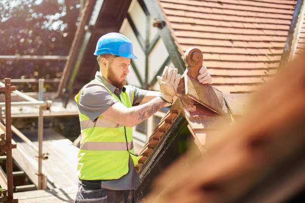 Best Roof Maintenance Services  in Forest, MS