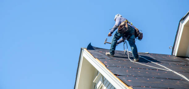 Best Roof Repair Services  in Forest, MS